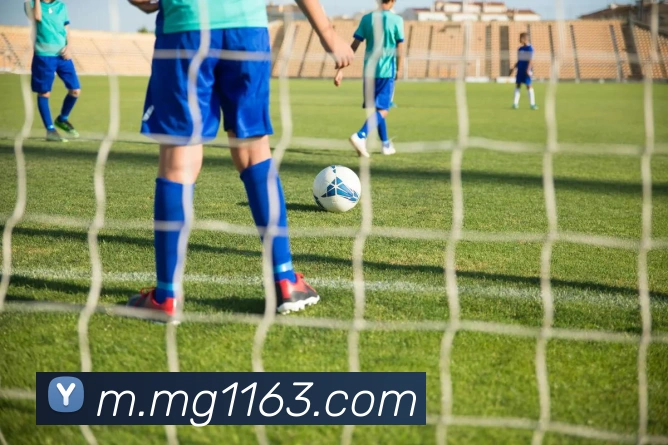 MG娱乐平台官网发展历程